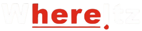 whereitz logo