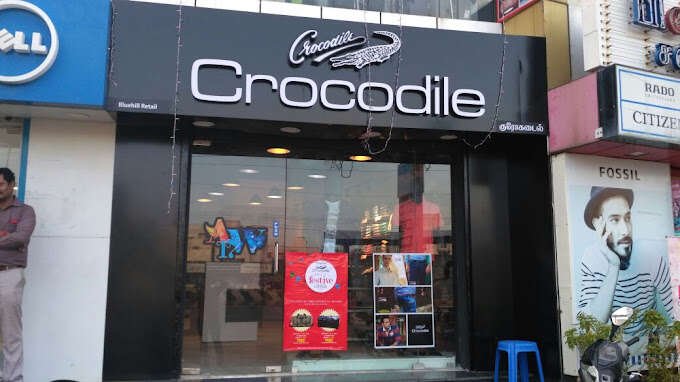 Crocodile