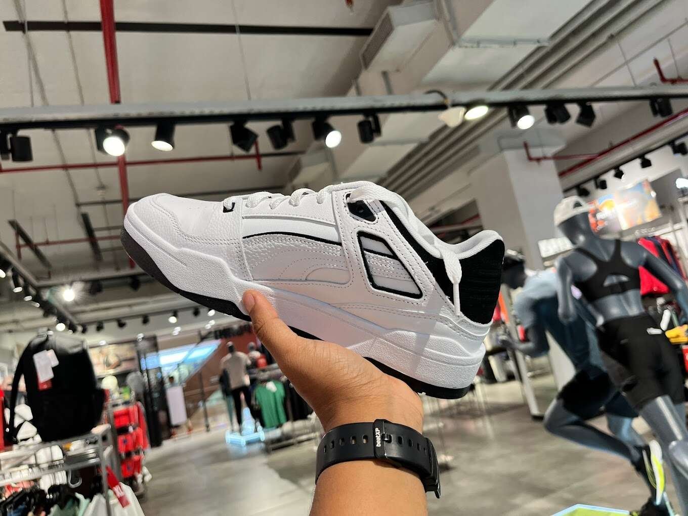 Puma