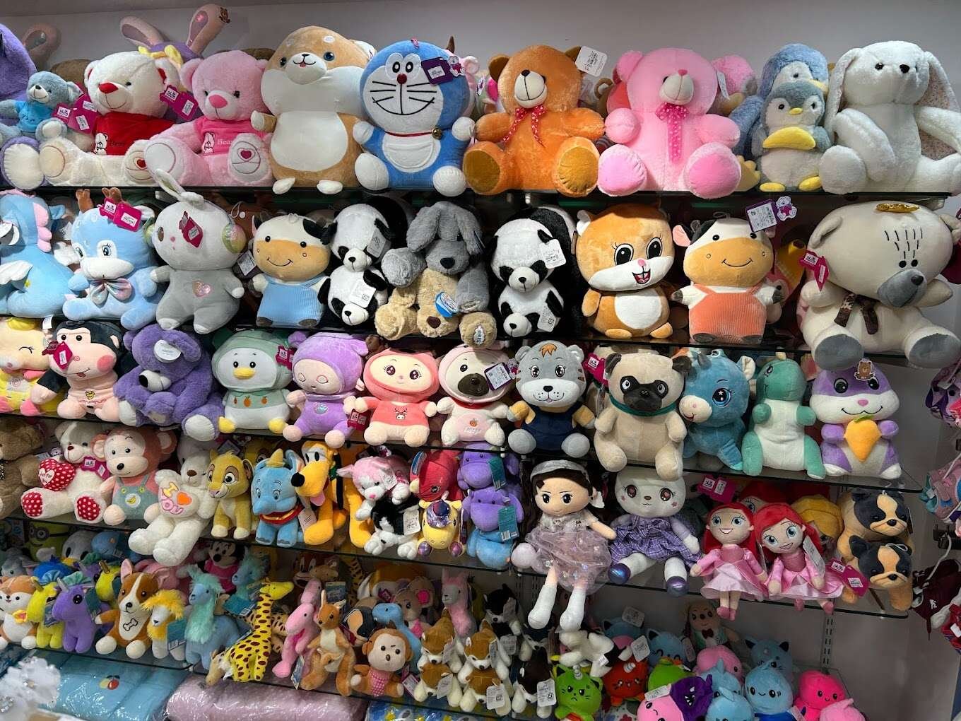 KIDZON